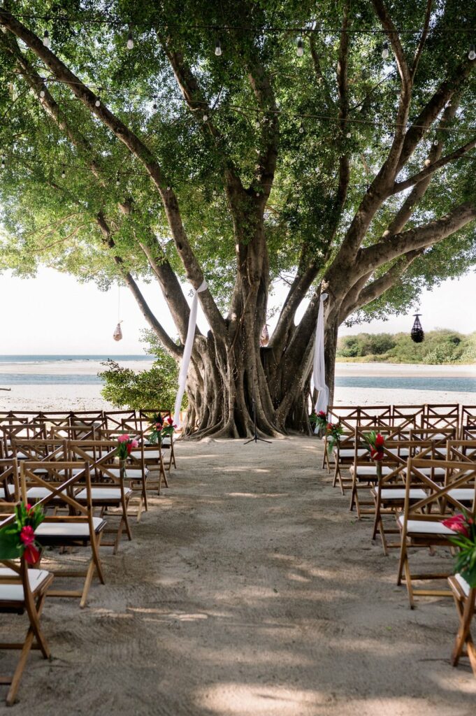 A sandy outdoor wedding setup with wooden chairs arranged in rows under a large tree, adorned with white fabric. The background features a calm beach and ocean.