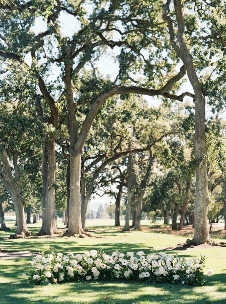 A picturesque outdoor setting featuring tall, leafy trees with a lush green grassy area. At the forefront is a semi-circle arrangement of white flowers. Sunlight filters through the tree canopy.