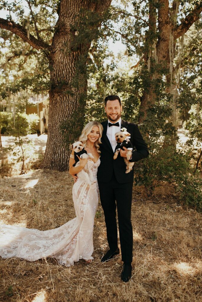 A bride and groom are posing outdoors in formal attire, each holding a small dog. They are standing in front of large trees with green foliage.