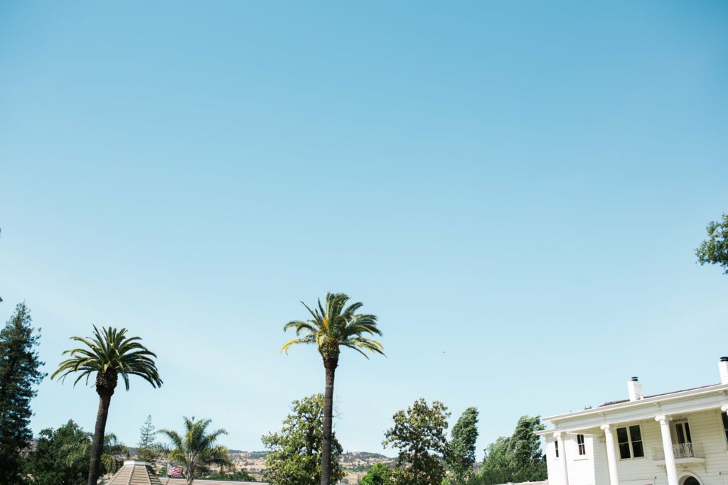 A clear blue sky over a landscape with tall palm trees, some greenery, and part of a white house on the right side.
