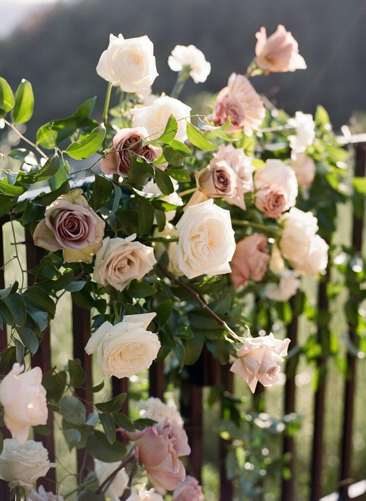 Roses in shades of white, pink, and mauve are arranged among green leaves on a wooden fence. The background shows a softly blurred, natural outdoor setting.