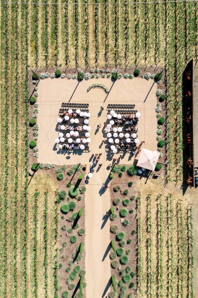 Aerial view of an outdoor wedding ceremony with guests seated, white umbrellas, and an aisle in the center, surrounded by rows of green vineyards.