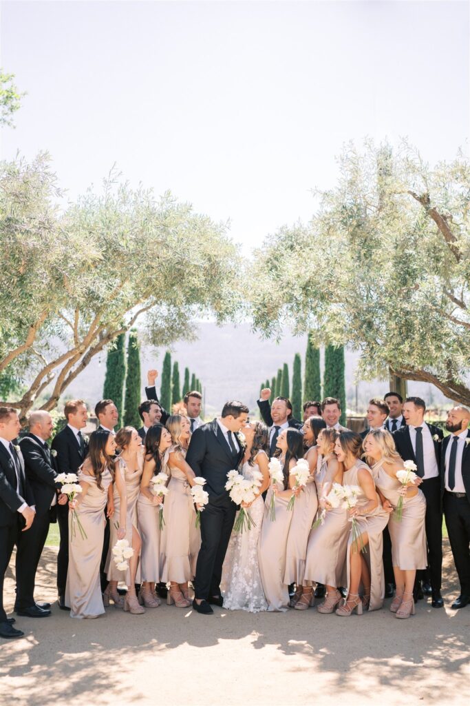 A wedding party poses outdoors, with bridesmaids in light dresses and groomsmen in dark suits, surrounding the couple under trees.