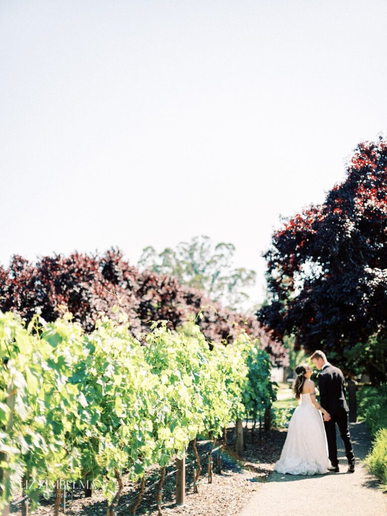 A couple stands together on a path between grapevines and trees under a clear sky.