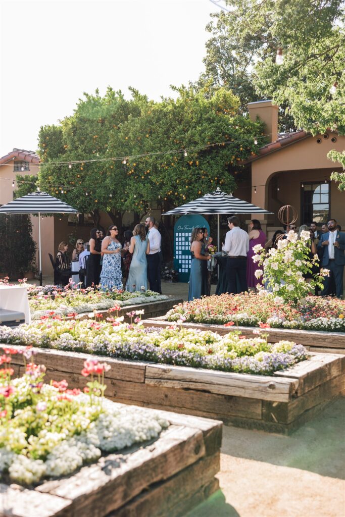 People gather outdoors at a Napa Valley wedding. Raised flower beds with colorful blooms are in the foreground, while trees and a winery building create a stunning backdrop.