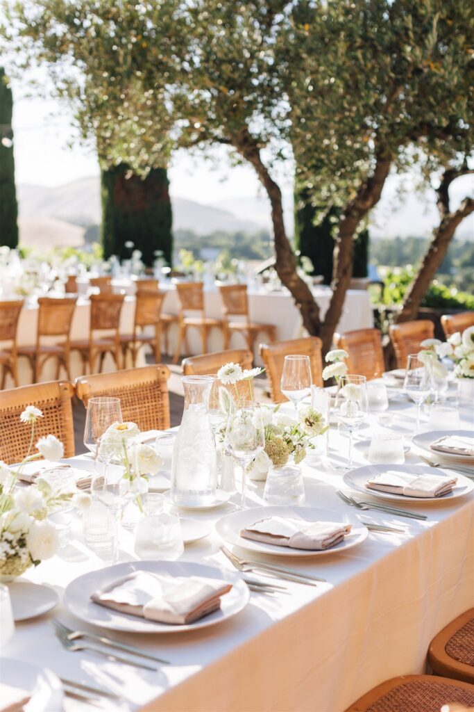 Long table set for an outdoor event, featuring white plates, glassware, and floral centerpieces, with wooden chairs and trees in the background.