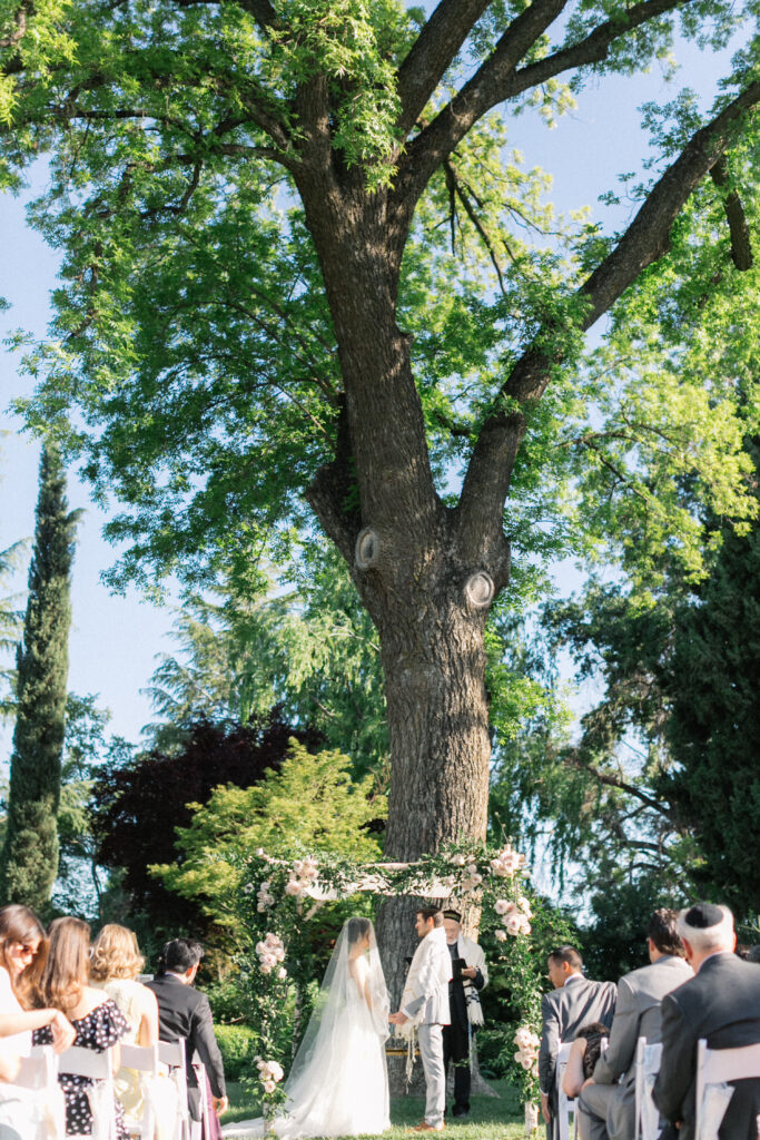 A couple stands under a large tree, exchanging vows in an outdoor wedding ceremony, surrounded by seated guests.