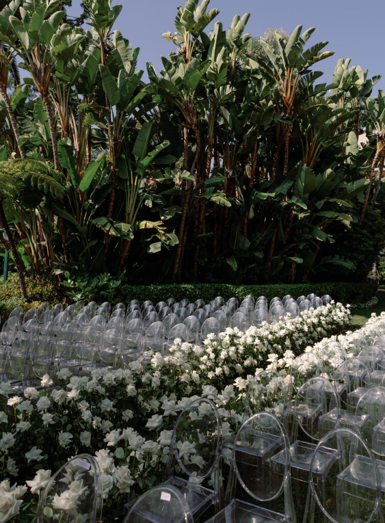 Rows of clear chairs and white roses arranged for an outdoor event, surrounded by tall green banana trees.