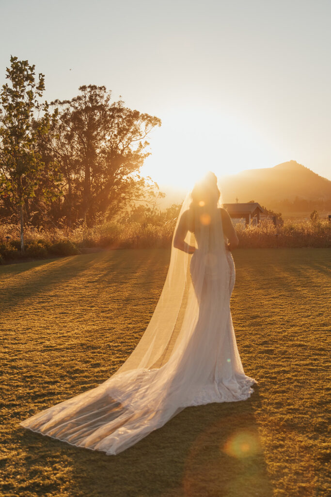 A bride stands in a sunlit field at sunset, wearing a long veil and gown. Trees and a mountain are visible in the background.