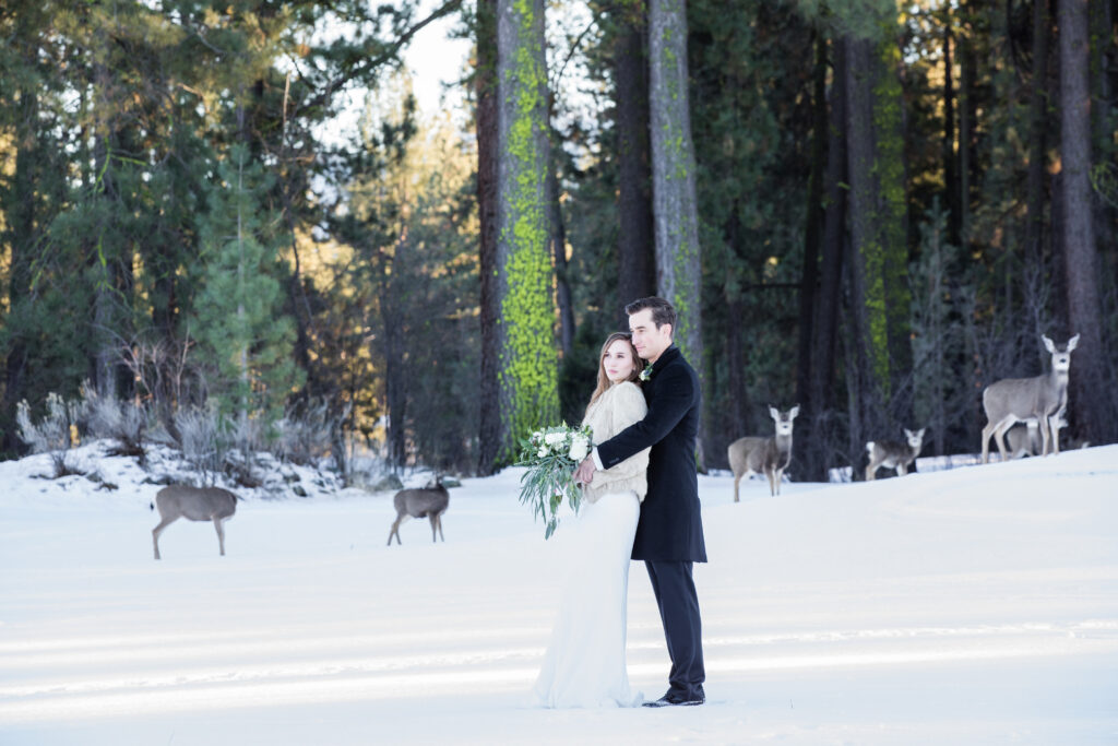 A bride and groom stand in a snowy forest clearing, surrounded by several deer, with tall trees in the background.