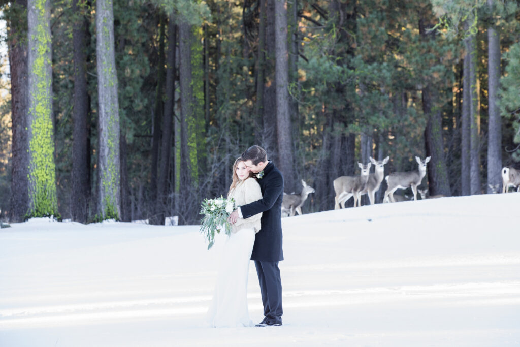 Bride and groom embrace in a snowy forest with deer in the background.