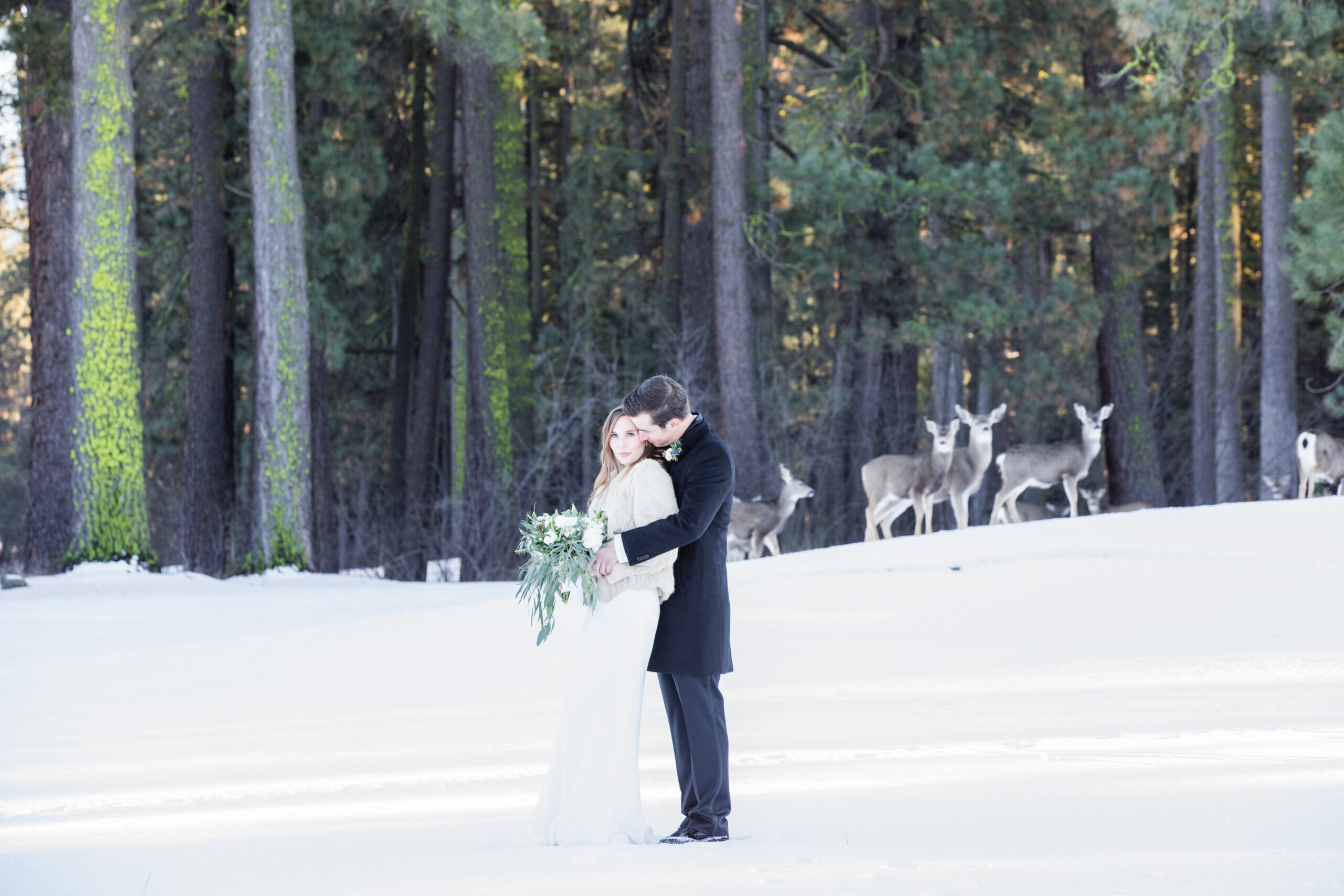 Bride and groom embrace in a snowy forest with deer in the background.