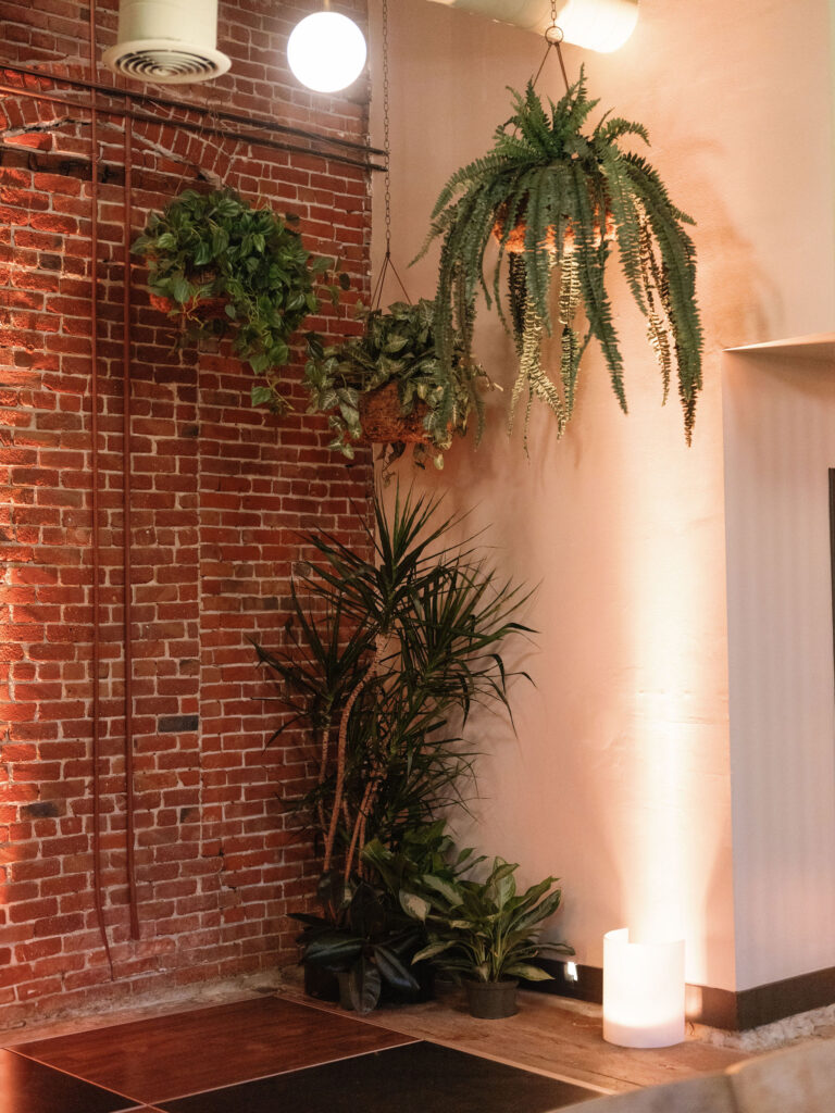 Indoor corner with a brick wall and various potted plants including ferns and leafy greens, some hanging, under warm lighting.