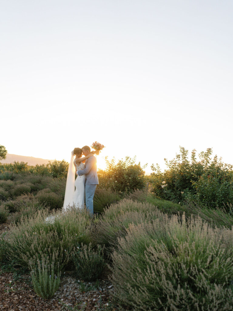 A couple in wedding attire embrace in a field of greenery at sunset.