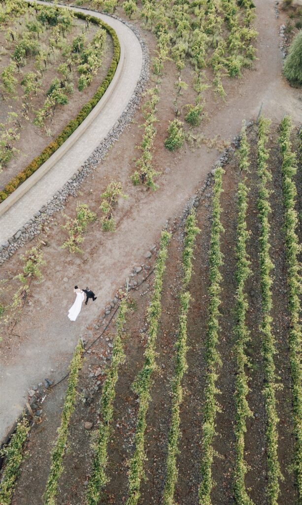 Aerial view of a couple lying on a dirt path within a vineyard, surrounded by rows of grapevines and a winding stone-bordered path.