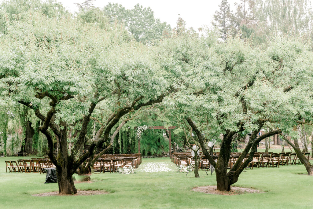 Rows of wooden chairs arranged for an outdoor wedding ceremony on a lawn, framed by large leafy trees and a wooden arbor decorated with flowers in the background.