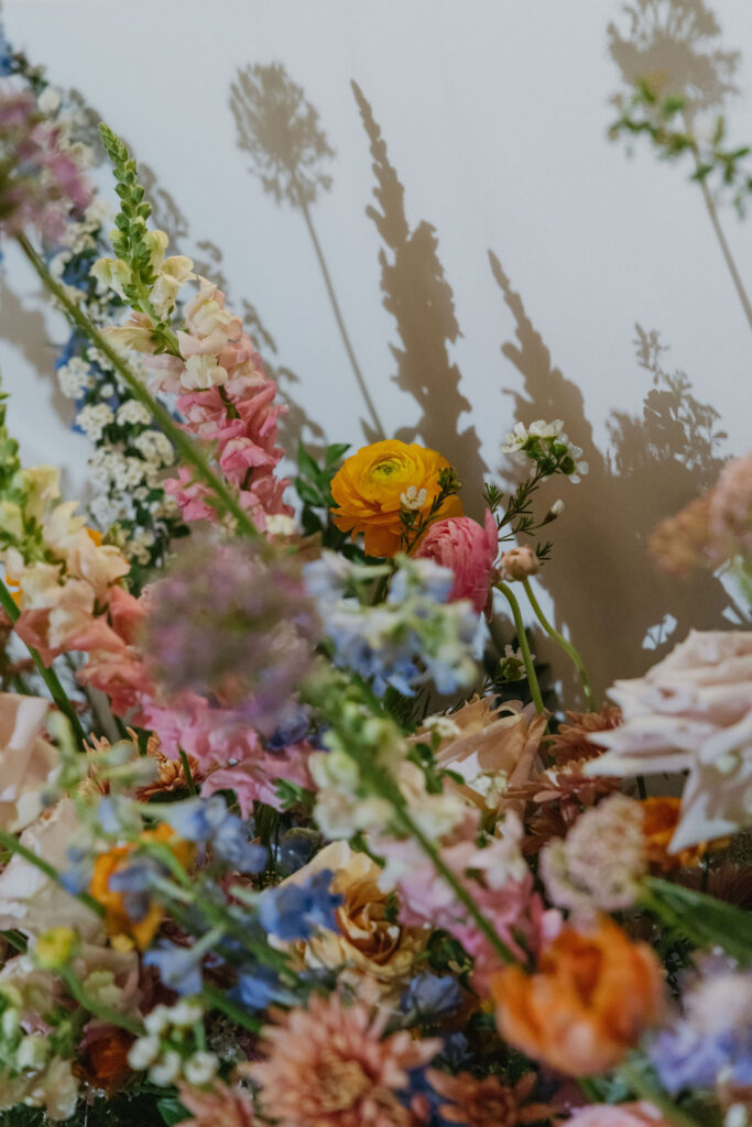 A close-up of assorted colorful flowers casting shadows on a white wall.