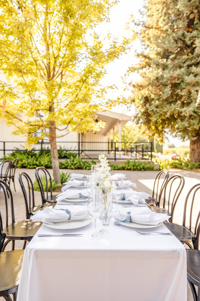 A long outdoor dining table set with white linens, plates, glassware, and simple floral centerpieces, surrounded by black chairs under leafy trees.