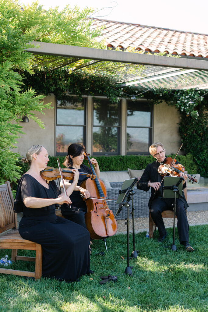 Three musicians, dressed in black, play string instruments—two violins and a cello—seated outdoors on grass near a building with greenery and a pergola.