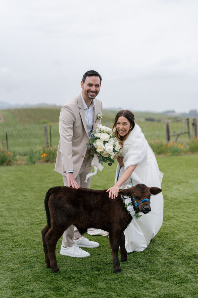 A bride and groom in wedding attire stand on grass, smiling and petting a small calf wearing a floral garland, with a rural landscape in the background.