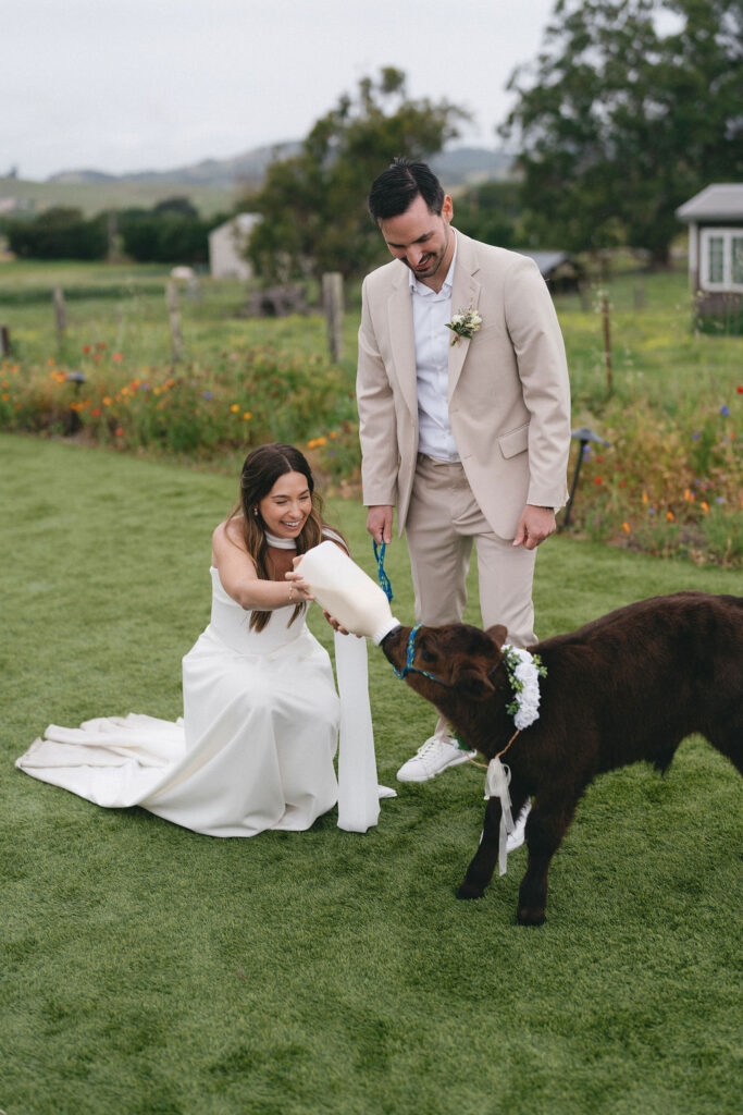 A bride in a white dress and a groom in a tan suit smile as the bride feeds a small goat from a bottle on a grassy lawn.