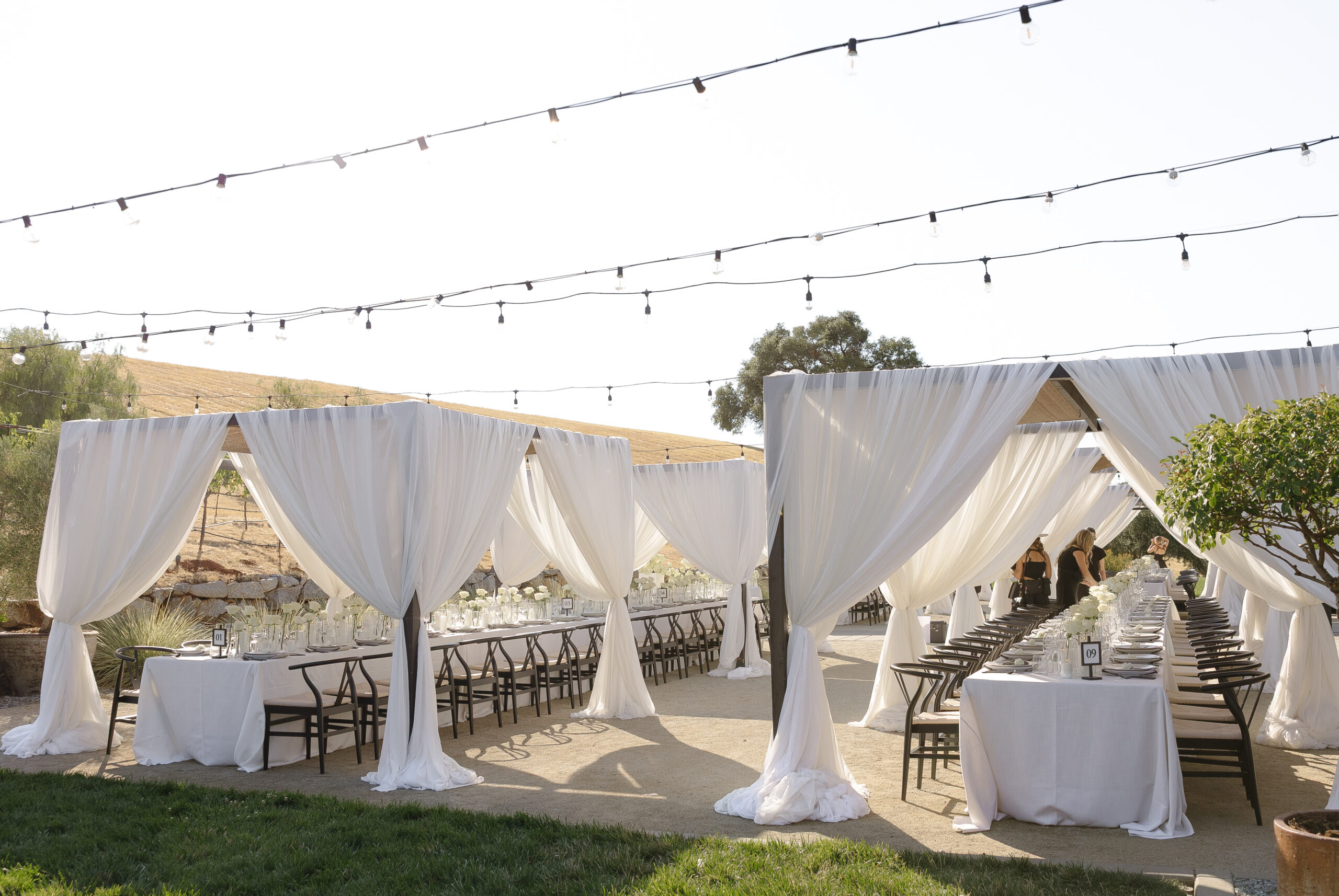Outdoor event setup with long tables and black chairs under white draped canopies and string lights, in a natural setting with hills and trees in the background.