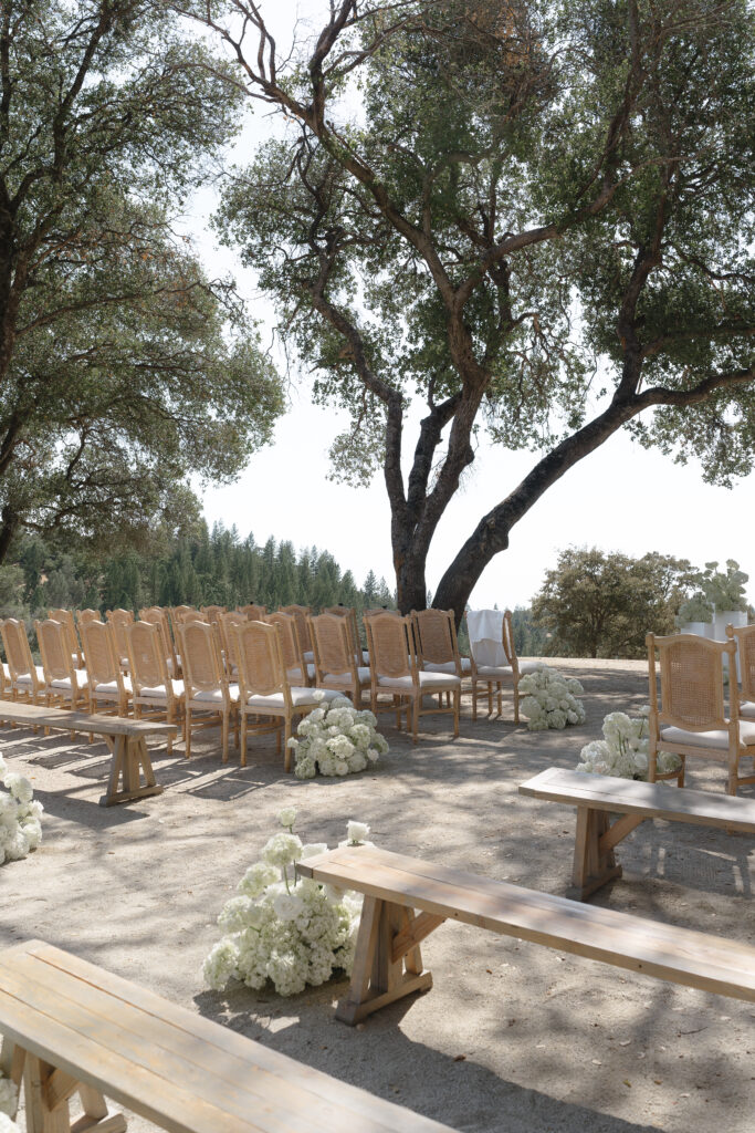 Rows of wooden chairs and benches are arranged outdoors under large trees, with white flower arrangements on the ground, suggesting a wedding or event setup.