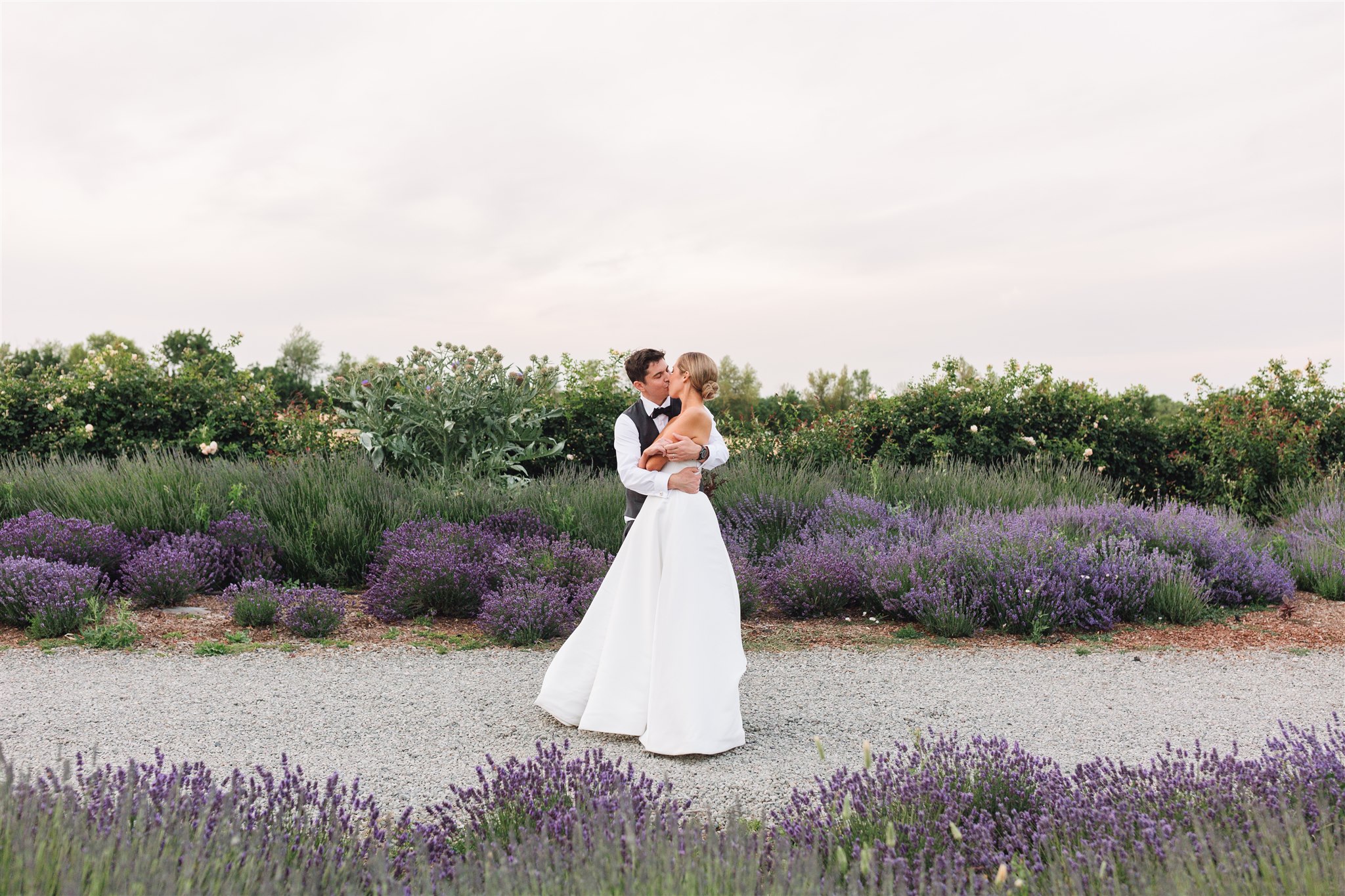 A couple in wedding attire embraces on a gravel path surrounded by blooming lavender and greenery under a cloudy sky.