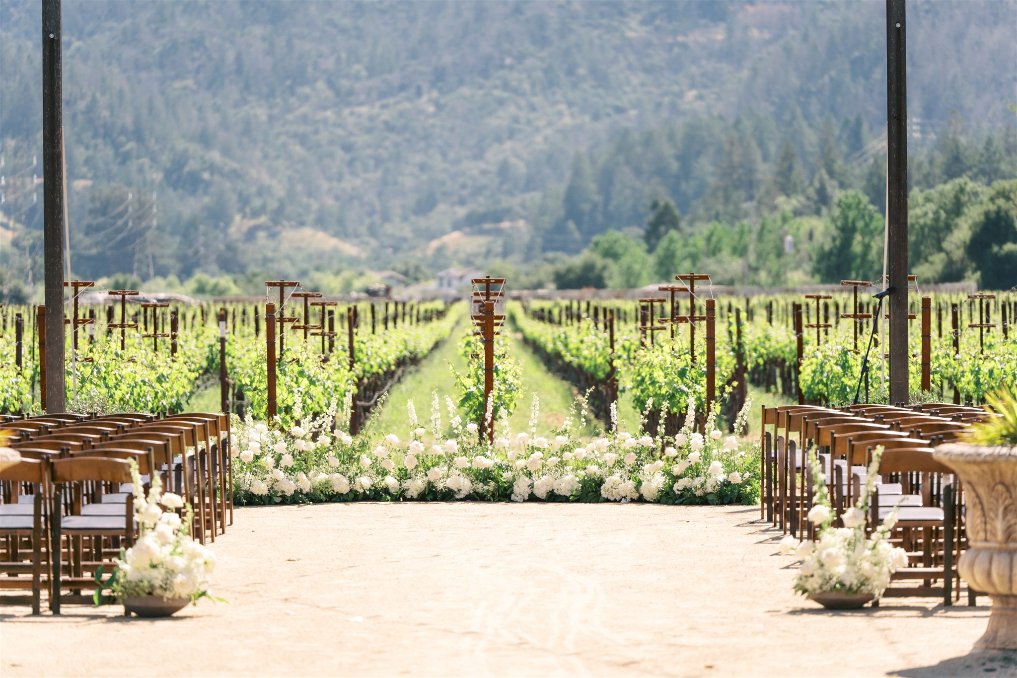 Outdoor wedding ceremony setup in a vineyard with rows of wooden chairs on both sides, white floral arrangements, and grapevines in the background.