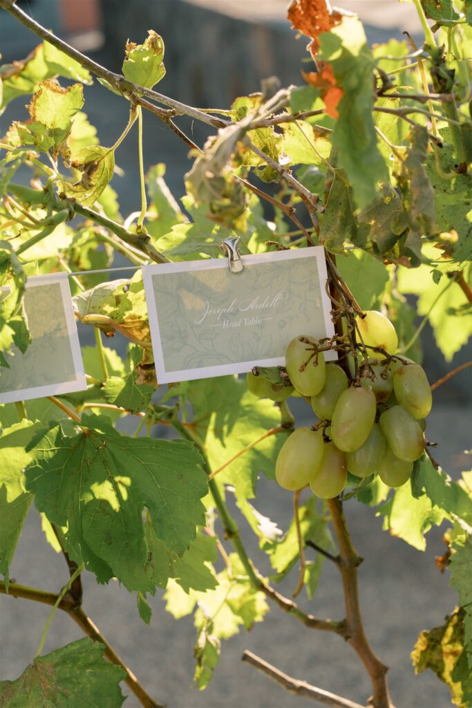 A bunch of green grapes hangs from a vine; a small card with text is clipped to the branch above the grapes.